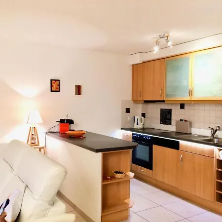 Διαμέρισμα Viognier 5 By Interhome Ovronnaz