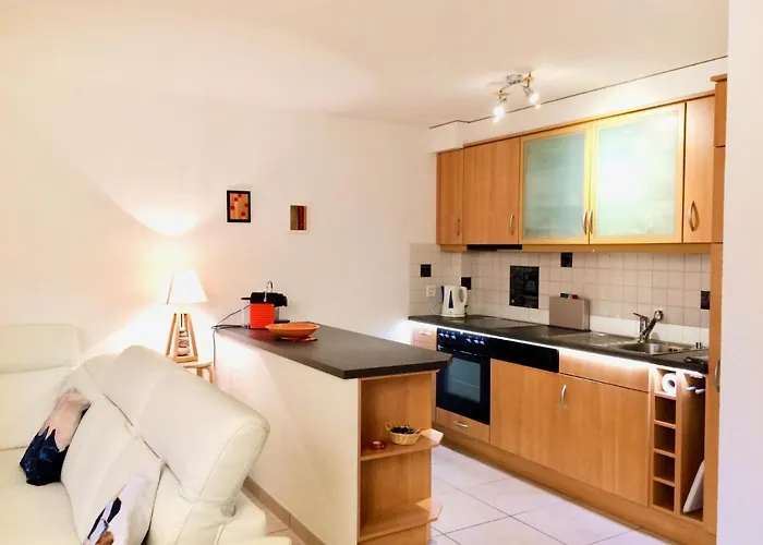 Lejlighed Viognier 5 By Interhome Ovronnaz